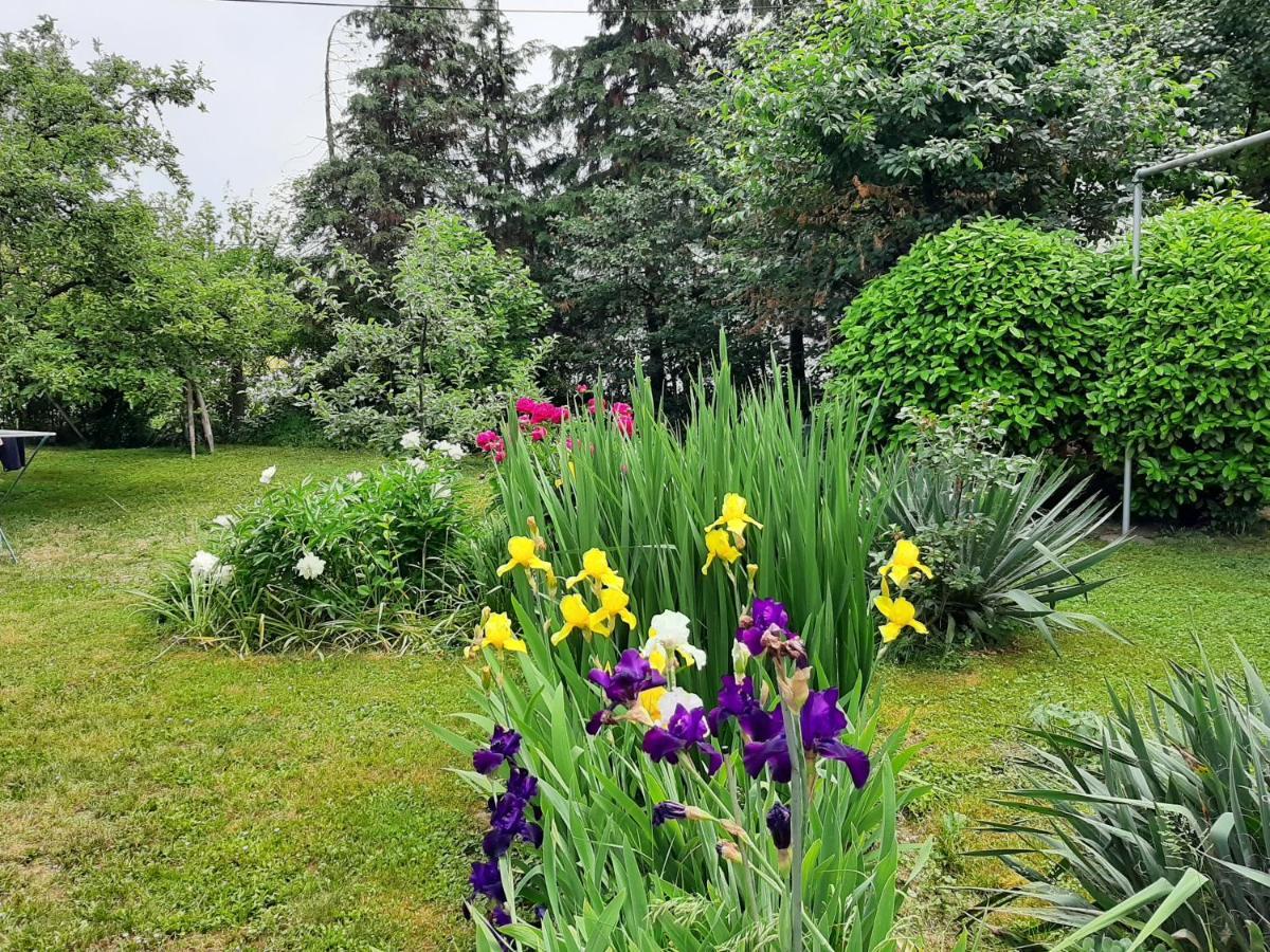 Magnolija Apartment Banja Luka Bagian luar foto