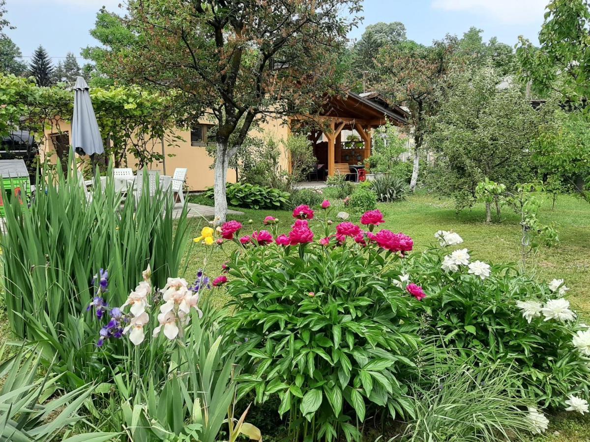 Magnolija Apartment Banja Luka Bagian luar foto